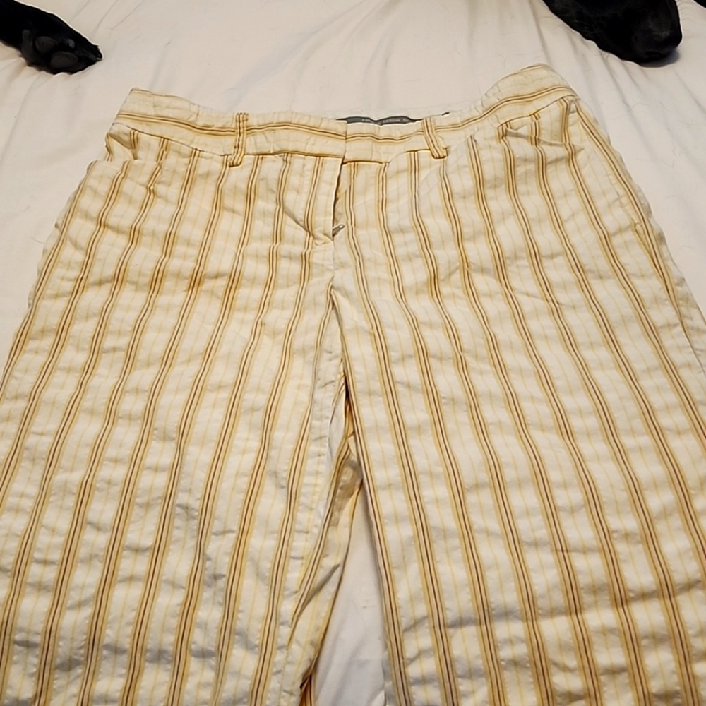 Express size 4 white with yellow ,brown, tan stripes.